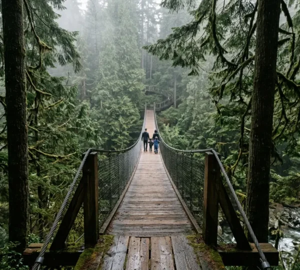 Family walking across suspension bridge surrounded by towering Douglas fir trees in Vancouver rainforest